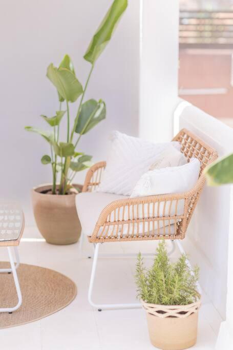 Downtown Flat With 46 Sqm Private Rooftop Terrace Málaga Eksteriør billede